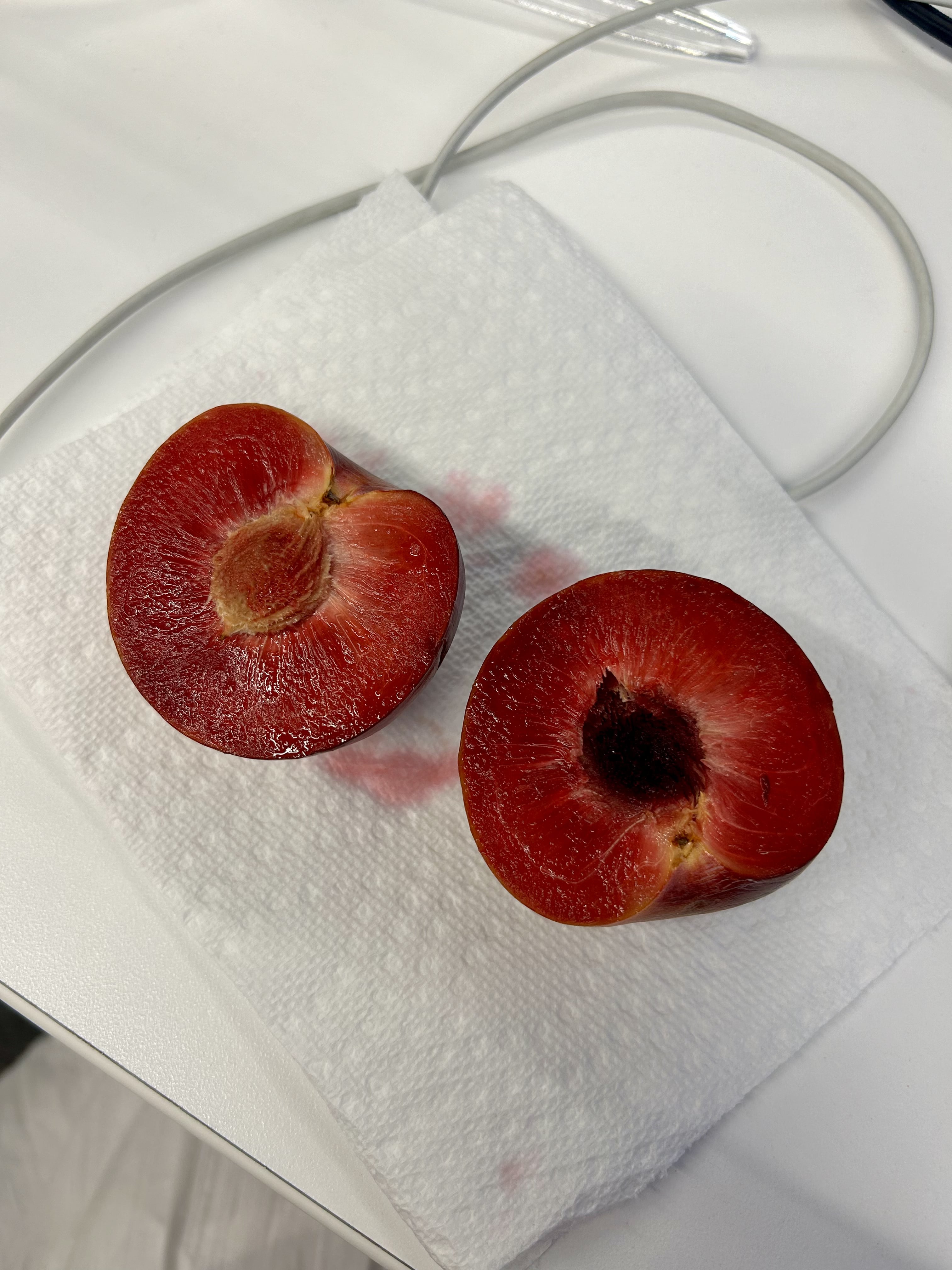 stone fruit